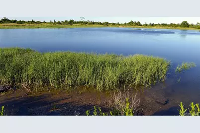 37 Barlow Lane, Rye, NY 10580 - Photo 39