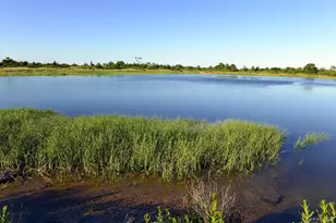 37 Barlow Ln, Rye, NY 10580 - Photo 39