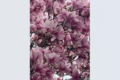 79 Amy Drive, Sayville, NY 11782 - Photo 39