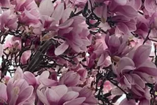 79 Amy Dr, Sayville, NY 11782 - Photo 39