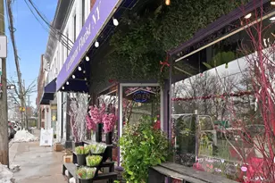 4 Pine Brook Dr, Larchmont, NY 10538 - Photo 33