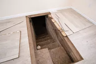 24 Albion St, Liberty, NY 12754 - Photo 13