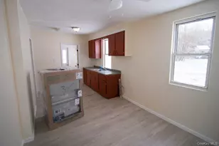 24 Albion St, Liberty, NY 12754 - Photo 3