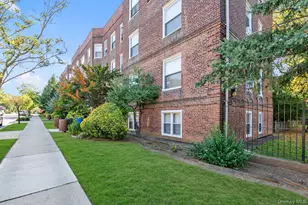 141-34 79th Ave, Flushing, NY 11367 - Photo 15