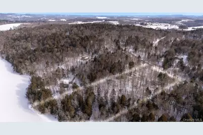 Kenoza Trail, Callicoon, NY 12723 - Photo 3