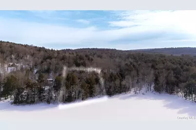 Kenoza Trail, Callicoon, NY 12723 - Photo 5