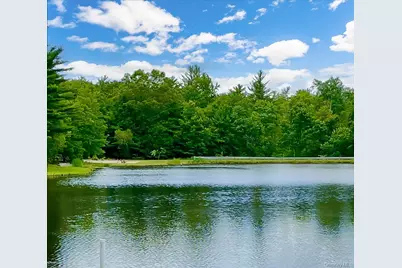 50 Meghan Court, Pine Bush, NY 12566 - Photo 5