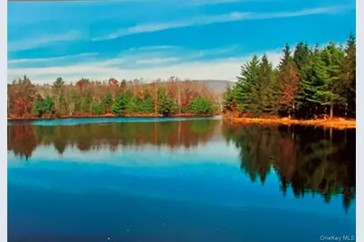 50 Meghan Court, Pine Bush, NY 12566 - Photo 3