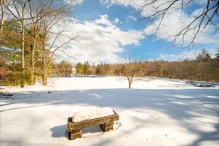 50 Meghan Ct, Pine Bush, NY 12566 - Photo 31