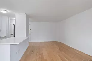 12205 Flatlands Ave, Brooklyn, NY 11207 - Photo 11