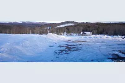 6 Rock View Lane, Loch Sheldrake, NY 12759 - Photo 23