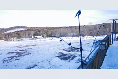 6 Rock View Lane, Loch Sheldrake, NY 12759 - Photo 25