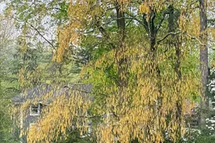 38 Sage Terrace, Scarsdale, NY 10583 - Photo 33