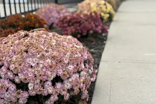 138 Weatherby Ln, Central Islip, NY 11722 - Photo 19