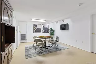 44 Wallace Dr, Plainview, NY 11803 - Photo 21