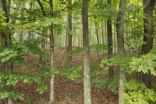 791 Gregory Ct, Highland, NY 12528 - Photo 31