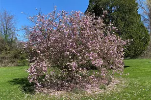 14 Harrigan Rd, Hopewell Junction, NY 12533 - Photo 35