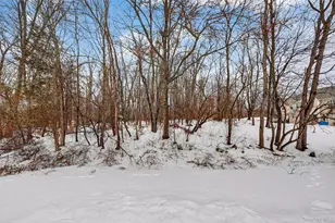 1123 Cold Spring Rd, Fishkill, NY 12524 - Photo 37