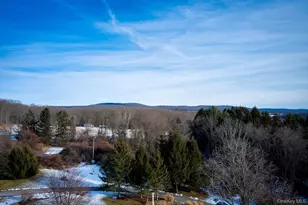 34 Guernsey Hill Rd, Lagrangeville, NY 12540 - Photo 47