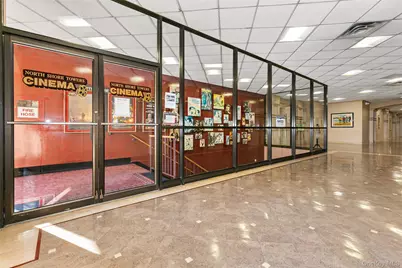 269-10 Grand Central Parkway #21-E, Floral Park, NY 11005 - Photo 29