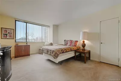 269-10 Grand Central Parkway #1C, Floral Park, NY 11005 - Photo 13