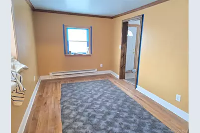 47 Cottage Street, Monticello, NY 12701 - Photo 3