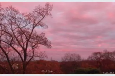 4784 Boston Post Road #B45, Pelham, NY 10803 - Photo 25