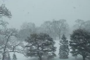 4784 Boston Post Rd, Pelham, NY 10803 - Photo 29