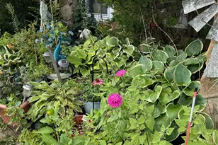 729 S 9th St, Lindenhurst, NY 11757 - Photo 15