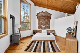 106 Mountain Laurel Ln, Woodstock, NY 12498 - Photo 17