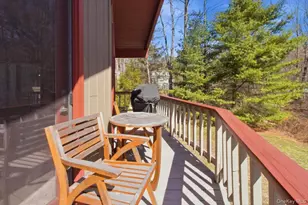 183 Bullet Hole Rd, Mahopac, NY 10541 - Photo 33