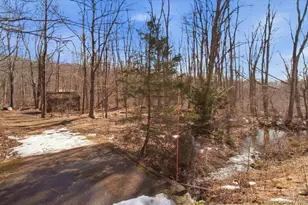 183 Bullet Hole Rd, Mahopac, NY 10541 - Photo 43