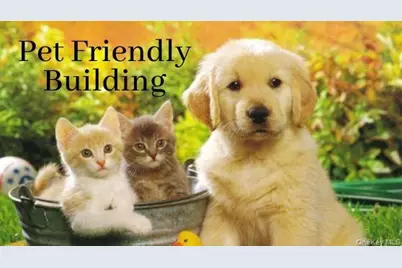 1 Franklin Avenue #6A, White Plains, NY 10601 - Photo 15