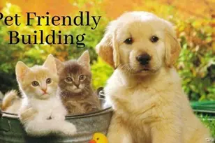 1 Franklin Ave, White Plains, NY 10601 - Photo 15