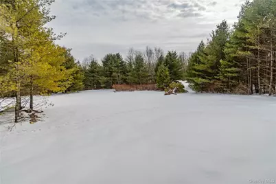 58 Dunn Town Road, Wurtsboro, NY 12790 - Photo 39