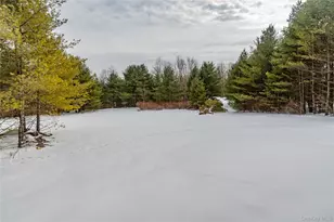 58 Dunn Town Rd, Wurtsboro, NY 12790 - Photo 39