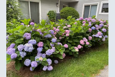 208 Harris Road #EA6, Bedford Hills, NY 10507 - Photo 17