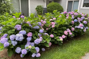 208 Harris Rd, Bedford Hills, NY 10507 - Photo 17