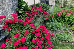 66 Mamaroneck Rd, Scarsdale, NY 10583 - Photo 43