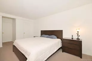 4 Birchwood Ct, Mineola, NY 11501 - Photo 11