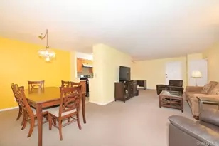 4 Birchwood Ct, Mineola, NY 11501 - Photo 5