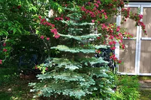 2452 Coolidge Ave, North Bellmore, NY 11710 - Photo 21