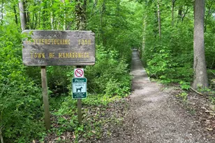 412 Munro Ave, Mamaroneck, NY 10543 - Photo 25