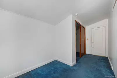 559 E 28th Street, Brooklyn, NY 11210 - Photo 27