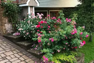28 Jane St, Roslyn Heights, NY 11577 - Photo 33