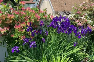 28 Jane St, Roslyn Heights, NY 11577 - Photo 31