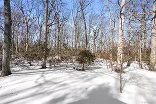 15 Springwood Path, Syosset, NY 11791 - Photo 29