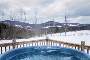 47 Hemmer Rd, Jeffersonville, NY 12748 - Photo 23