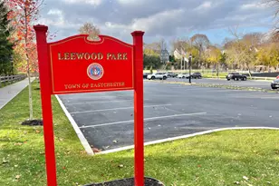 153 Montgomery Ave, Scarsdale, NY 10583 - Photo 15