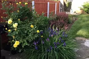 270 Nancy Dr, East Meadow, NY 11554 - Photo 33